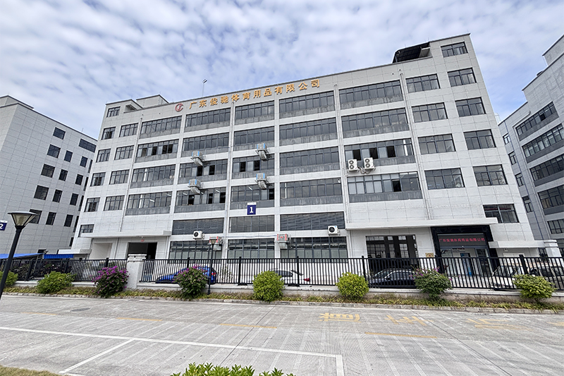 Top Pickleball Paddle Manufacturers: A Guide for Brand Owners